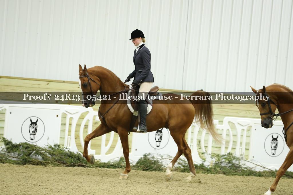Proof 24R13_05421