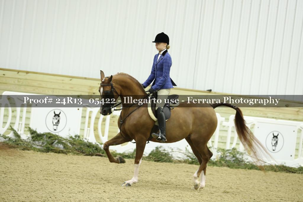 Proof 24R13_05422