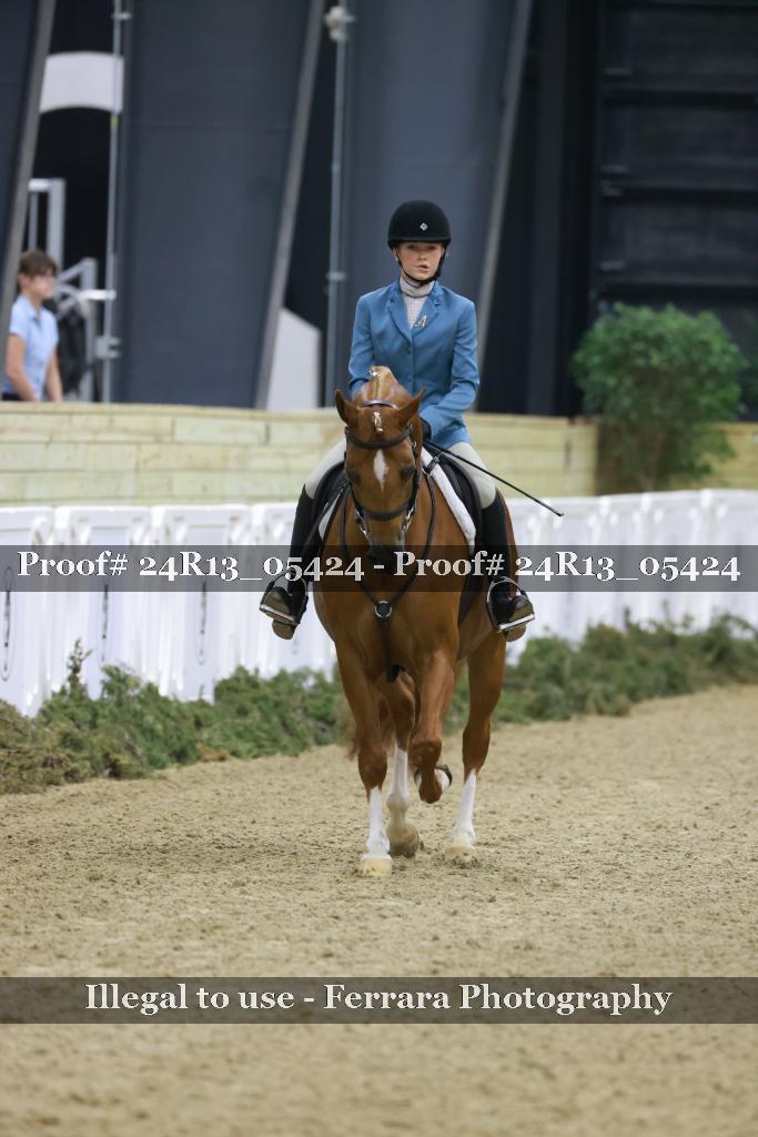Proof 24R13_05424