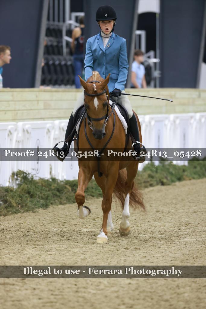 Proof 24R13_05428