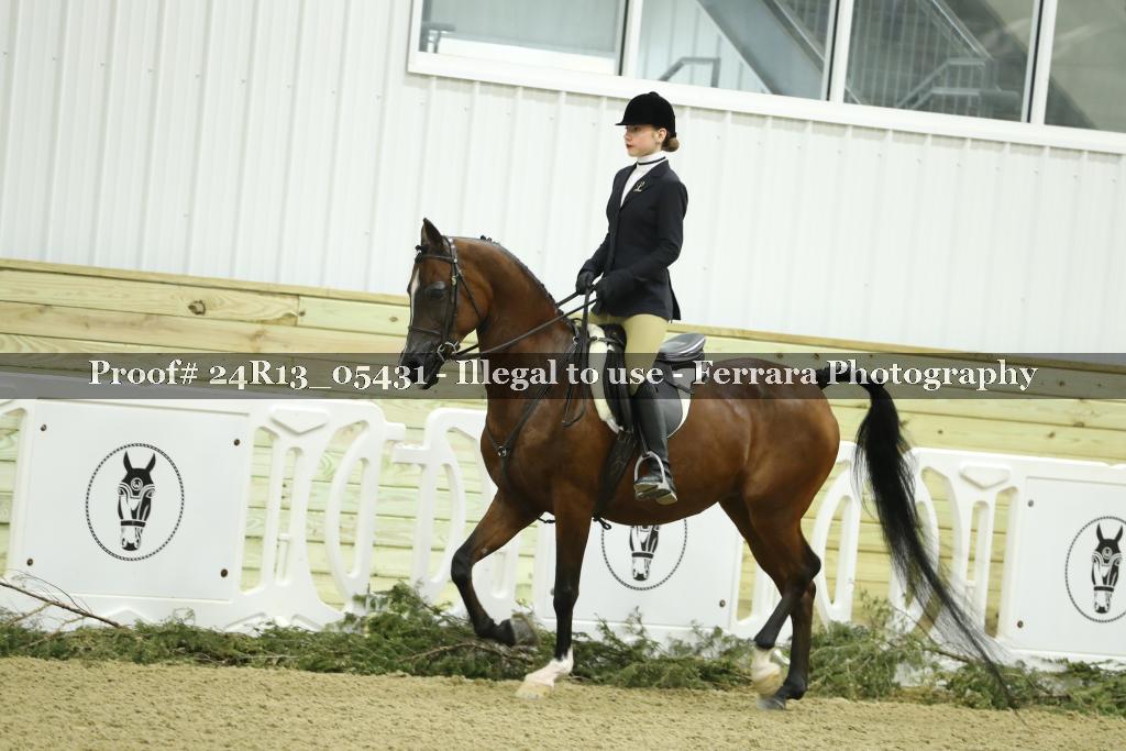 Proof 24R13_05431