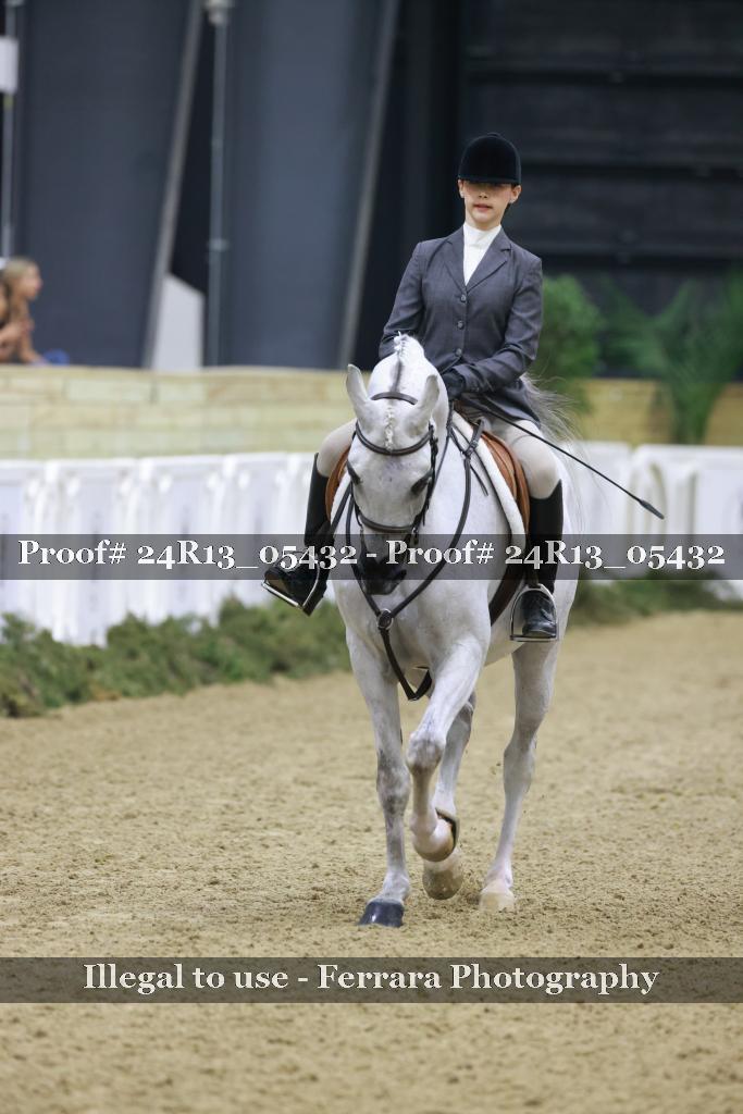 Proof 24R13_05432