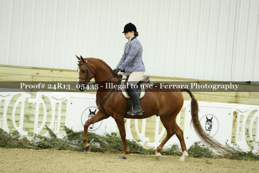Proof 24R13_05435