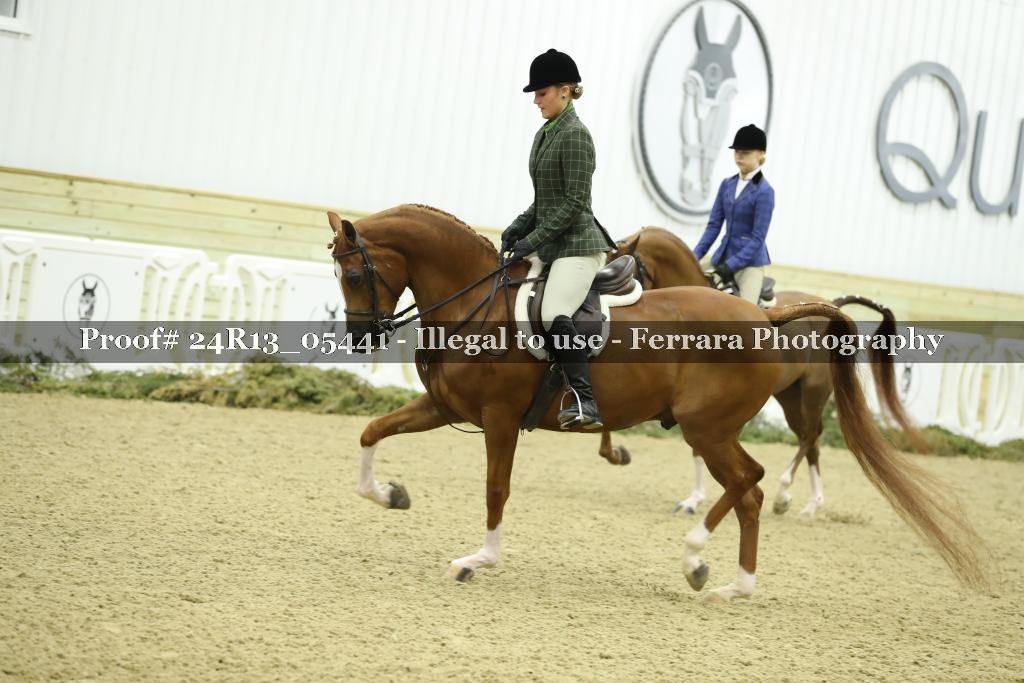 Proof 24R13_05441