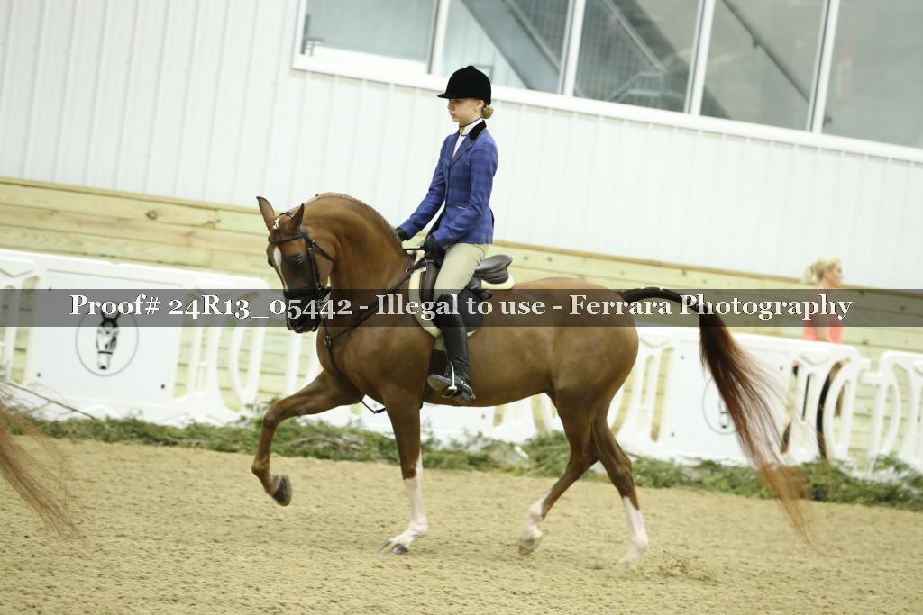 Proof 24R13_05442