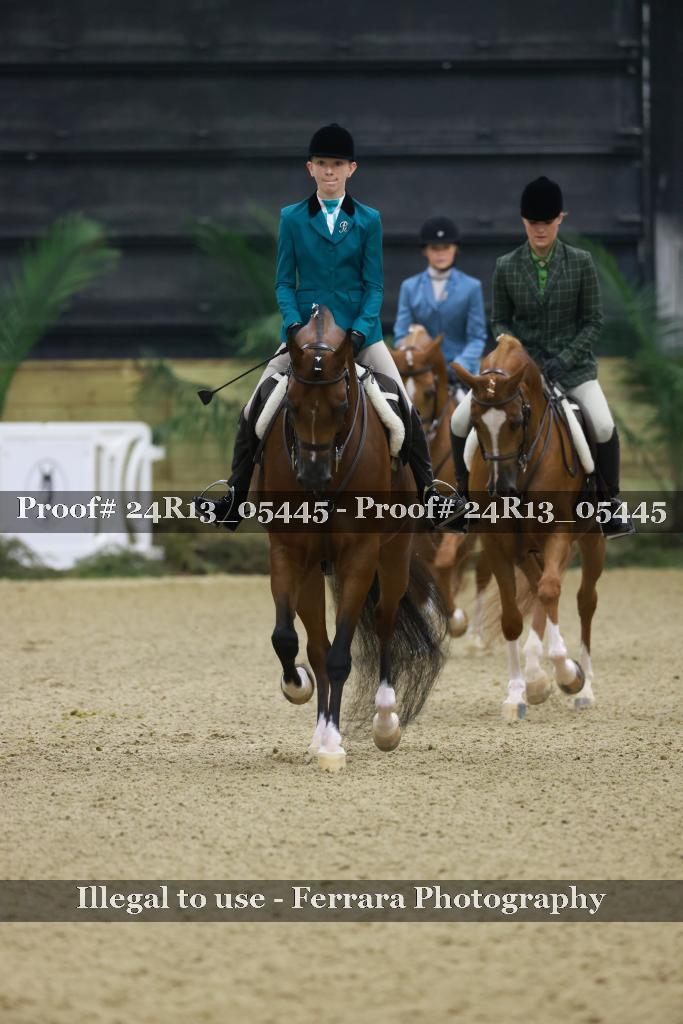 Proof 24R13_05445