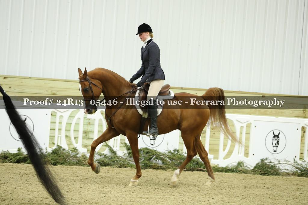 Proof 24R13_05446