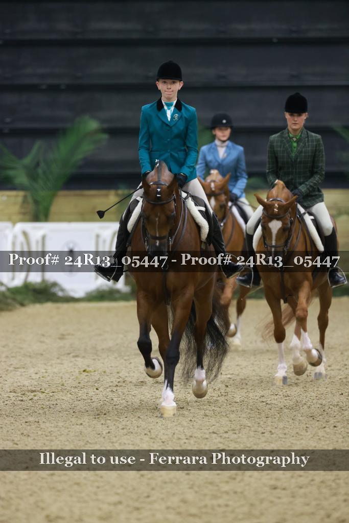 Proof 24R13_05447