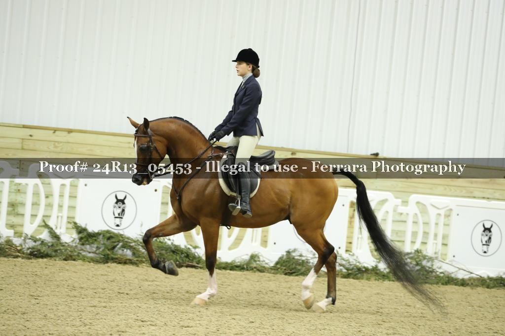 Proof 24R13_05453