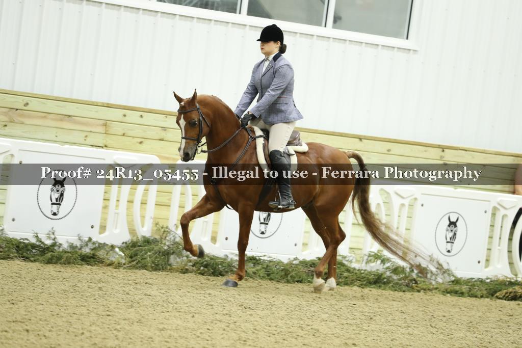 Proof 24R13_05455