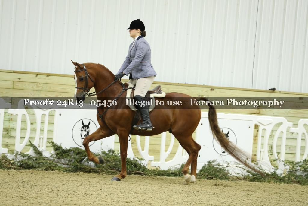 Proof 24R13_05456