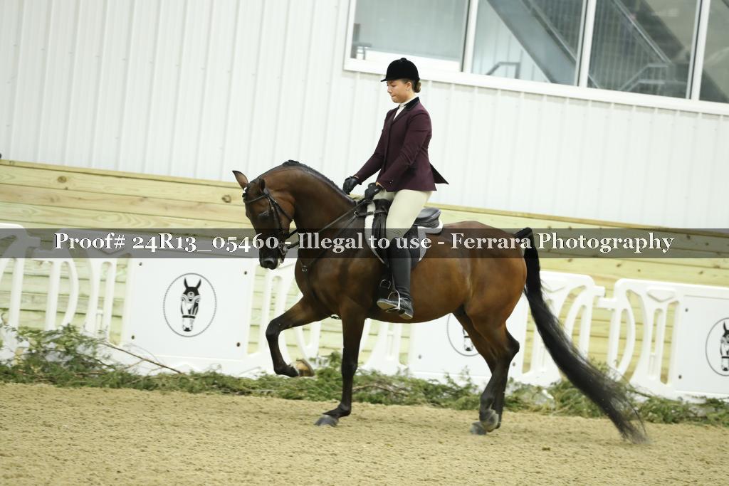 Proof 24R13_05460