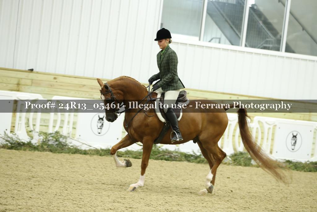 Proof 24R13_05461