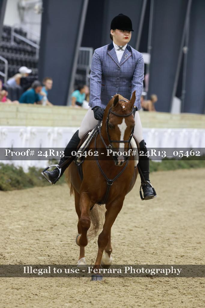 Proof 24R13_05462