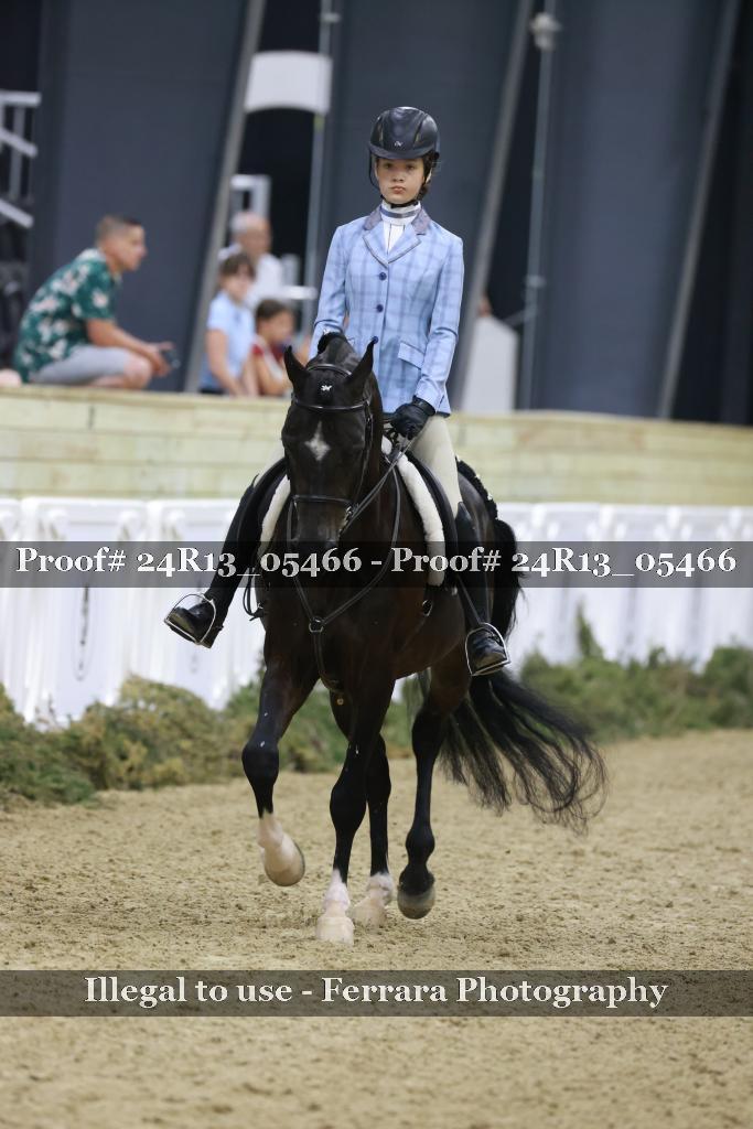 Proof 24R13_05466