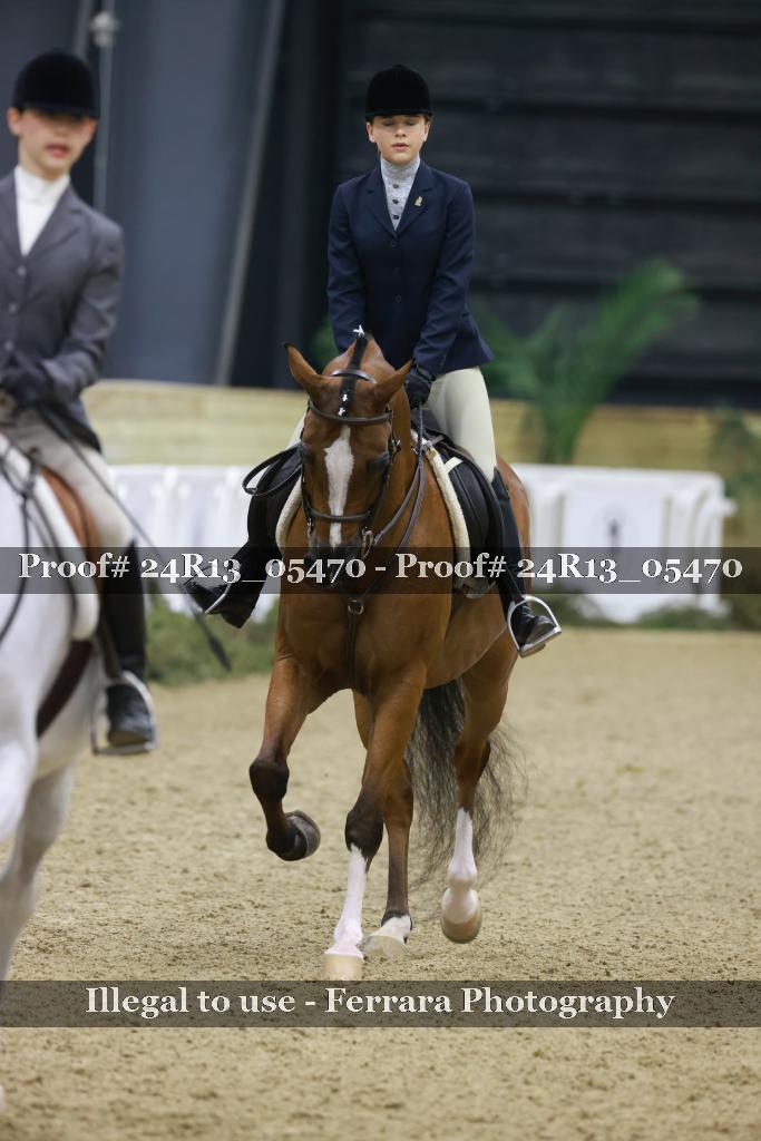 Proof 24R13_05470