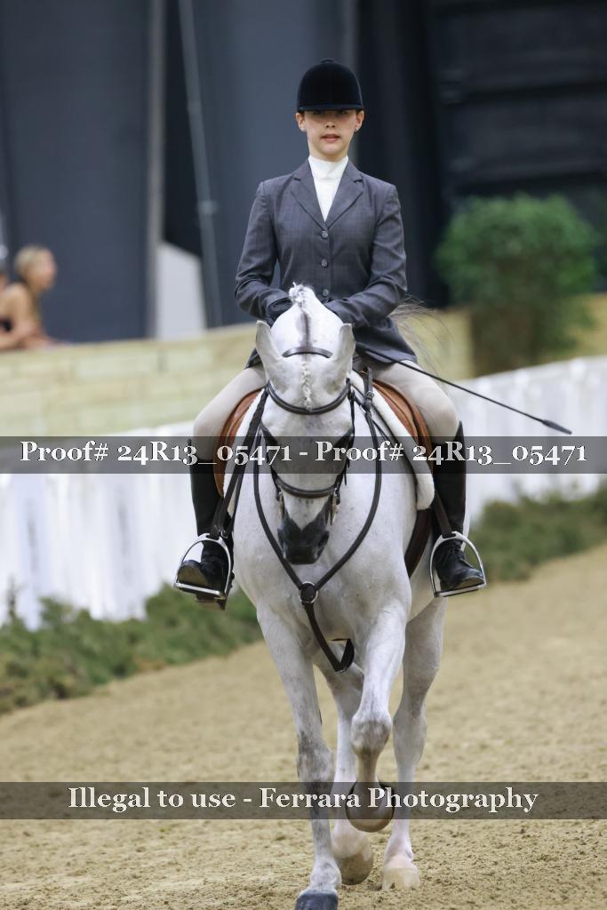 Proof 24R13_05471