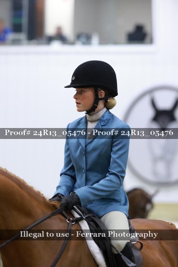 Proof 24R13_05476