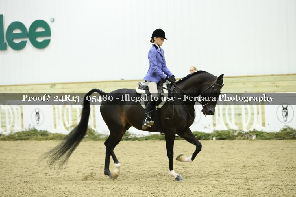 Proof 24R13_05480