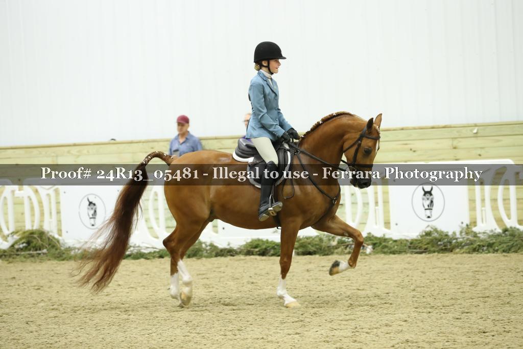 Proof 24R13_05481