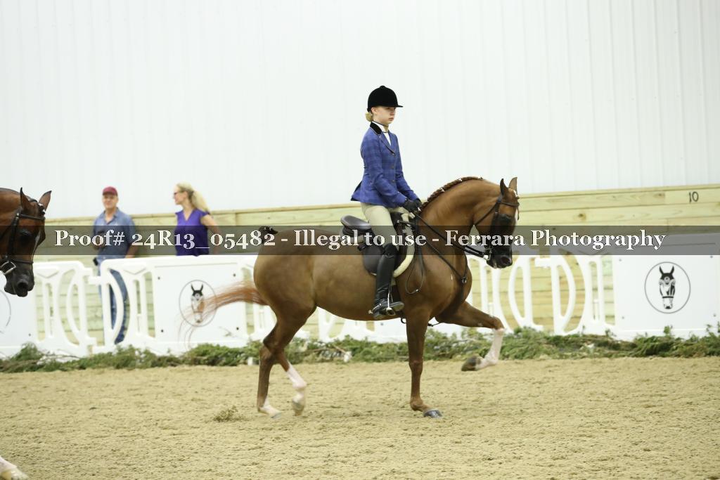 Proof 24R13_05482