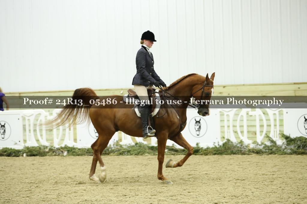 Proof 24R13_05486
