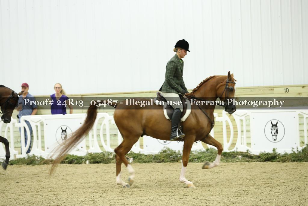 Proof 24R13_05487
