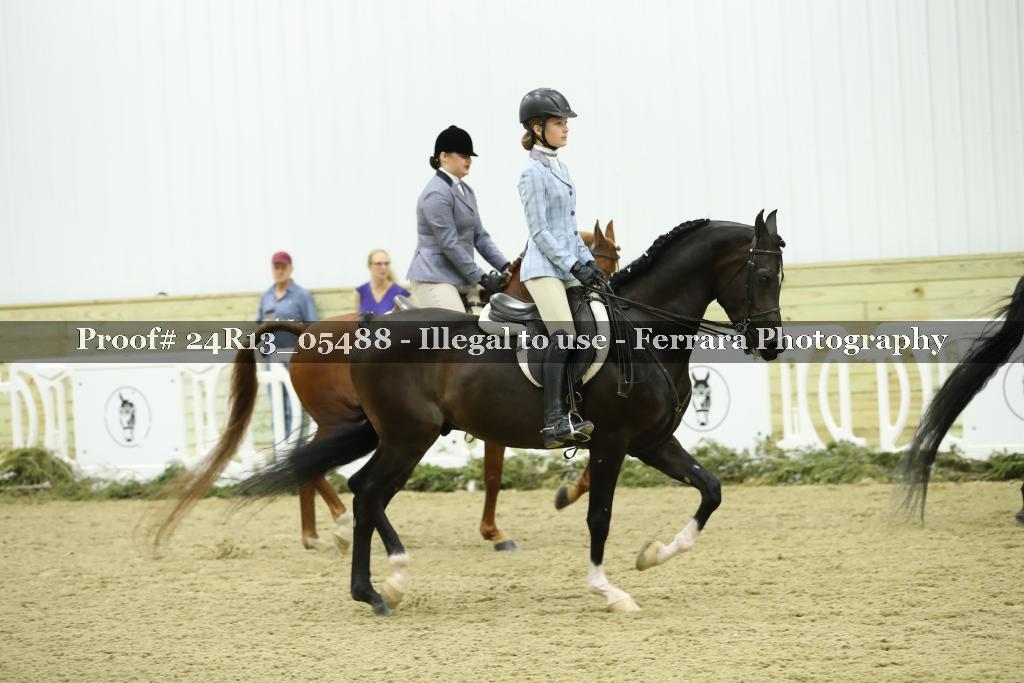 Proof 24R13_05488