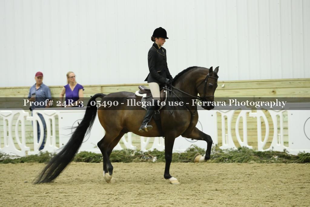 Proof 24R13_05490