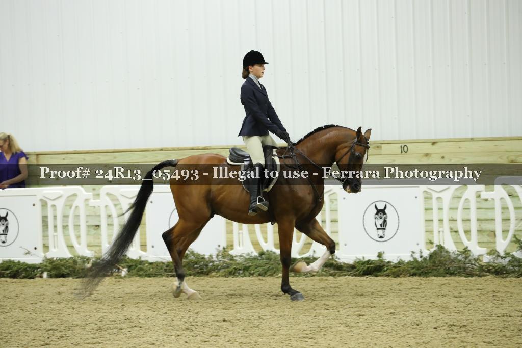 Proof 24R13_05493