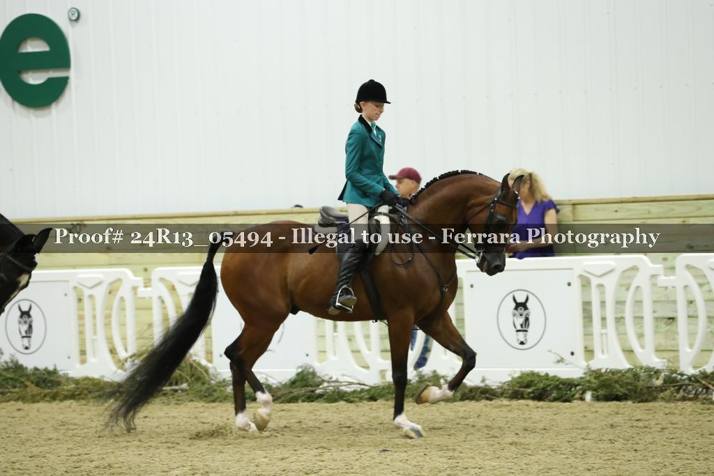 Proof 24R13_05494