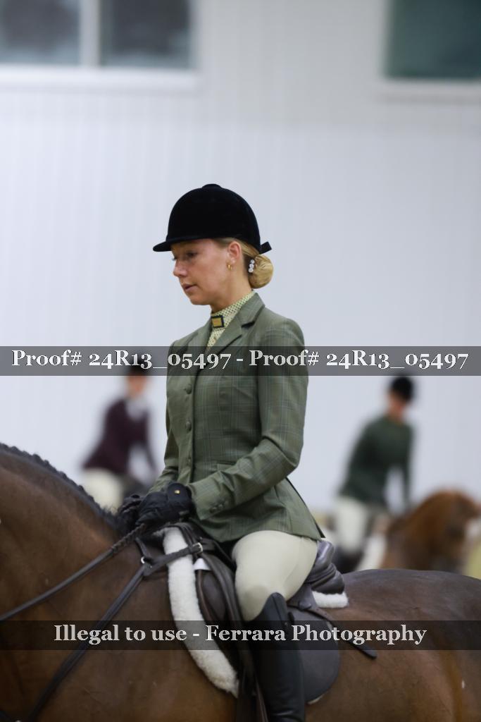 Proof 24R13_05497