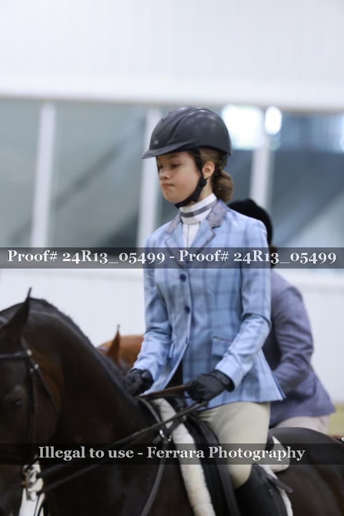 Proof 24R13_05499