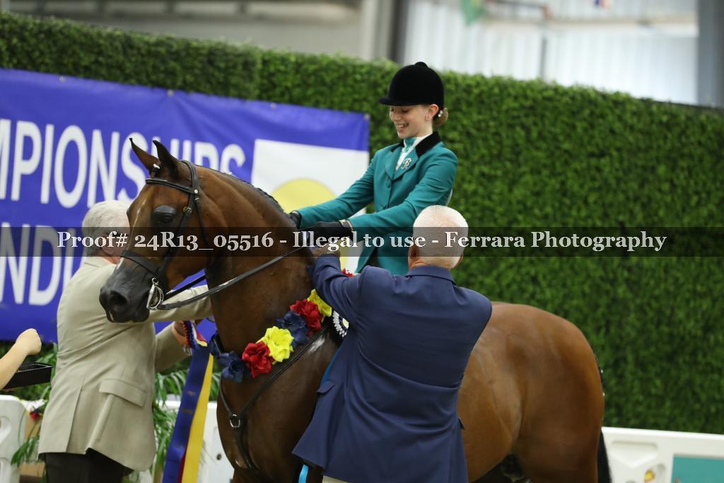 Proof 24R13_05516