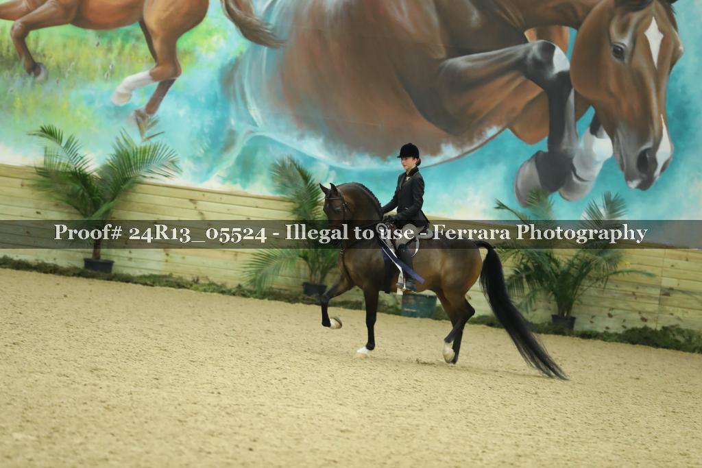 Proof 24R13_05524