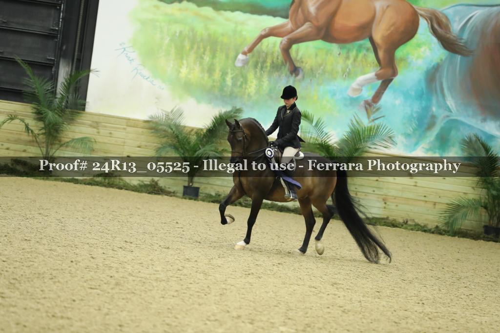Proof 24R13_05525
