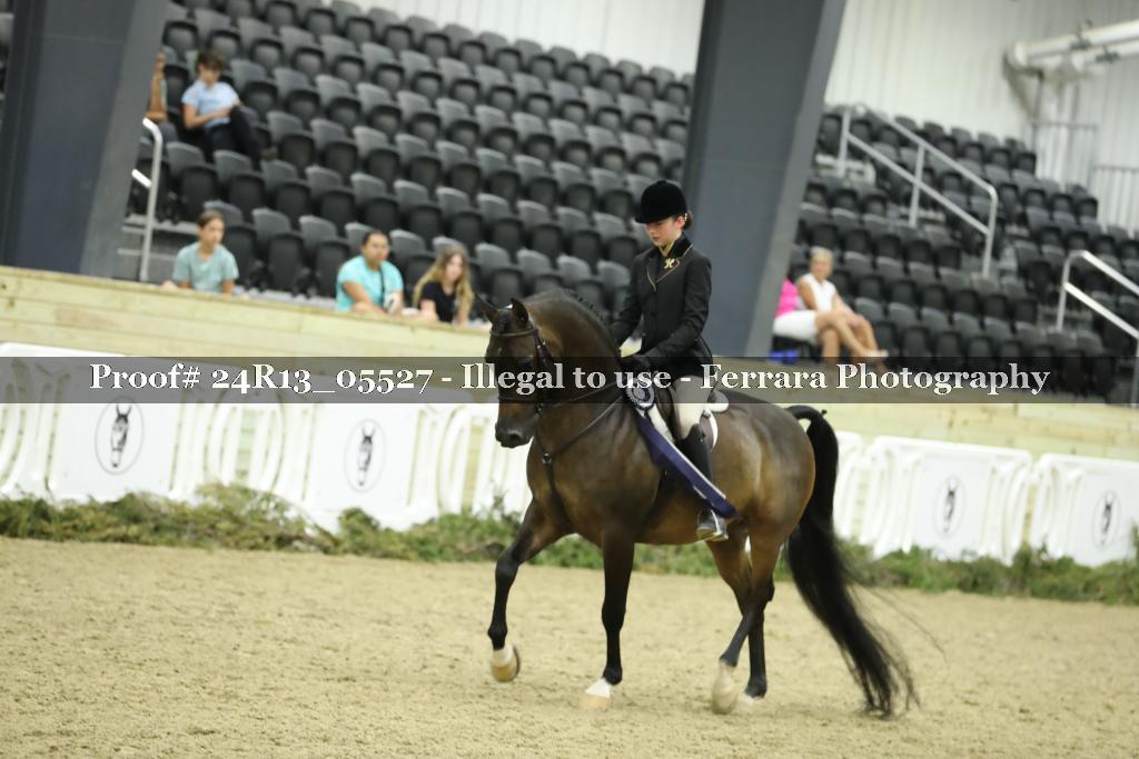 Proof 24R13_05527