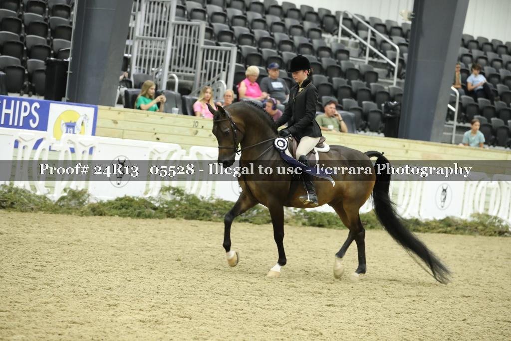 Proof 24R13_05528