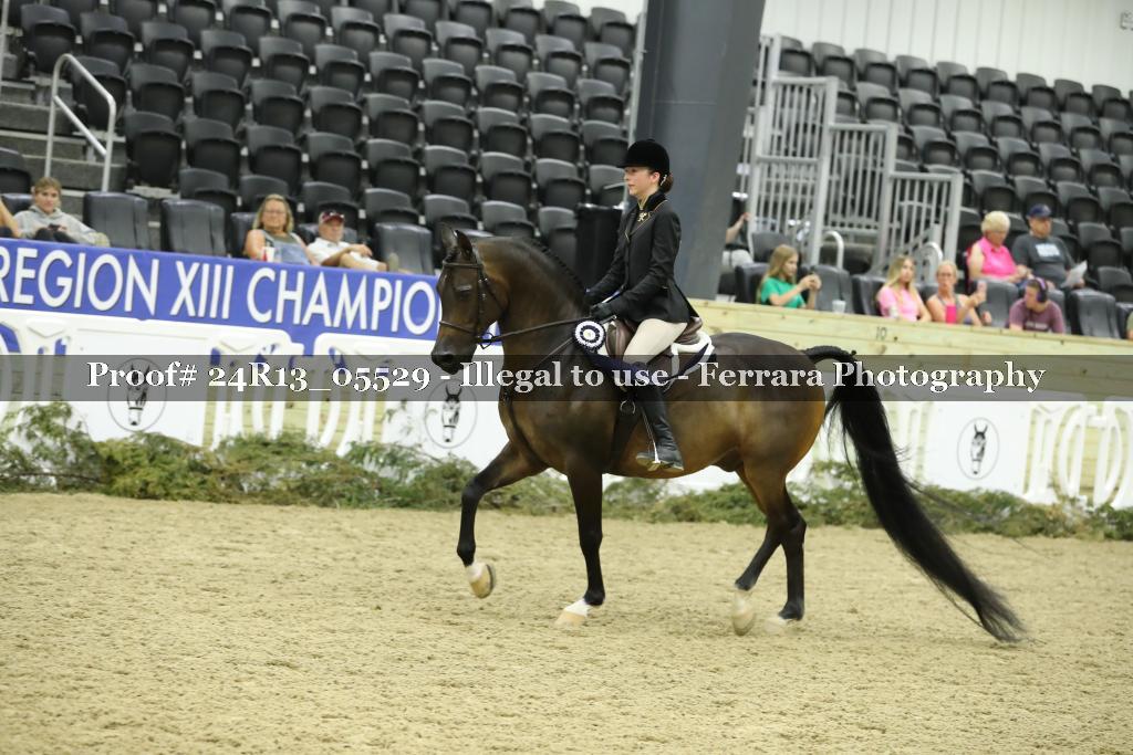 Proof 24R13_05529