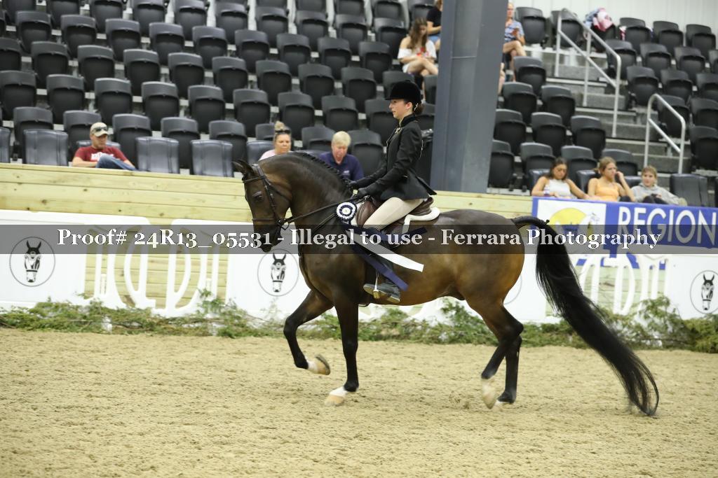 Proof 24R13_05531