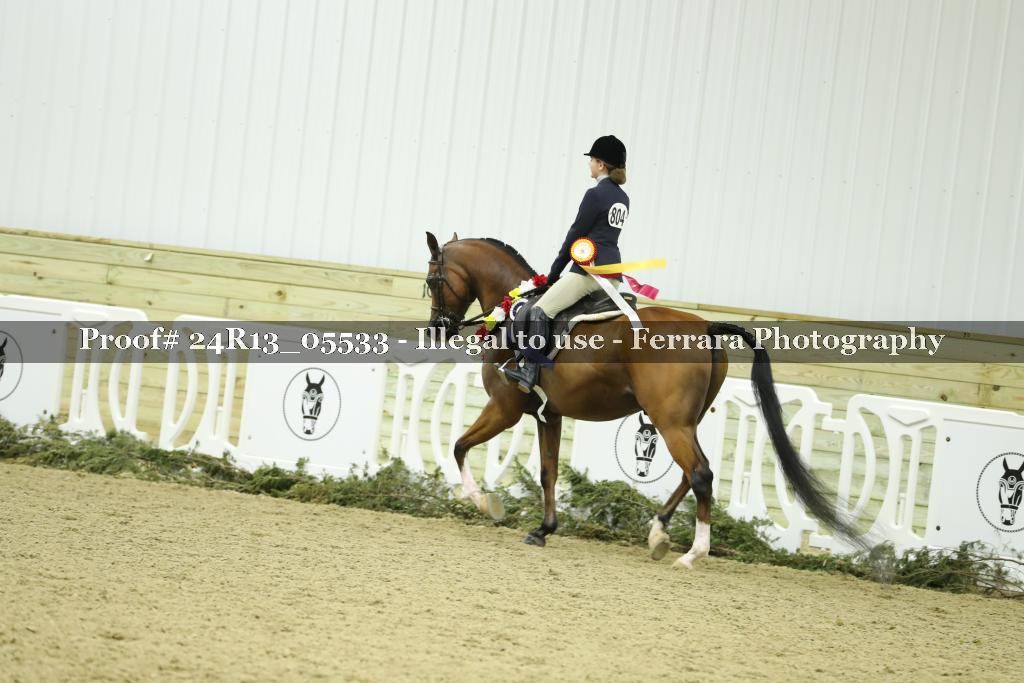 Proof 24R13_05533
