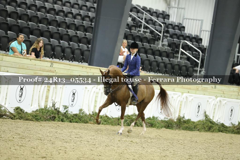 Proof 24R13_05534