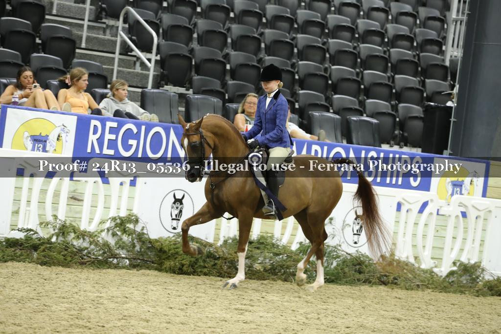 Proof 24R13_05536