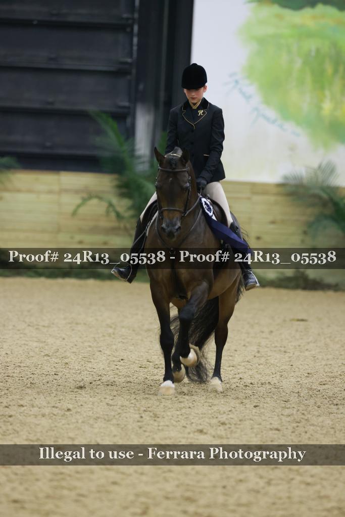 Proof 24R13_05538
