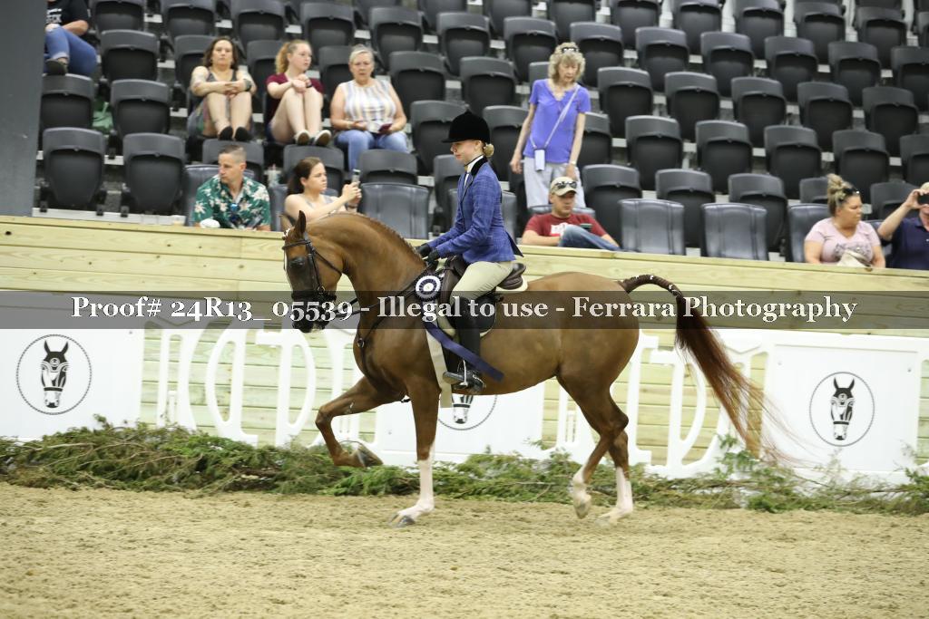 Proof 24R13_05539