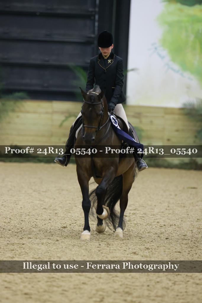 Proof 24R13_05540