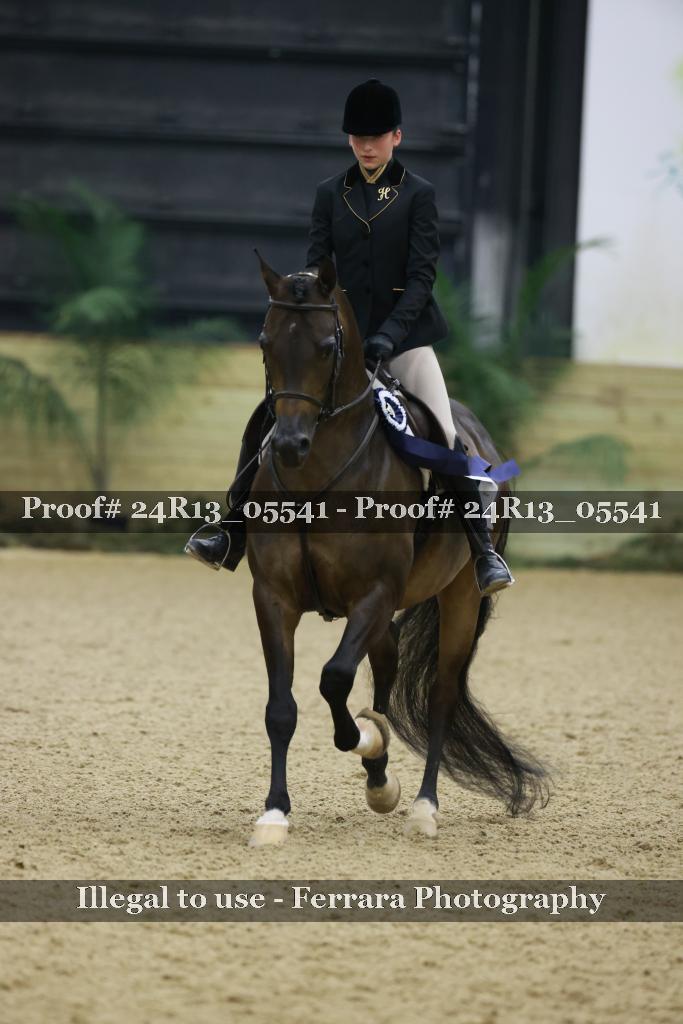 Proof 24R13_05541
