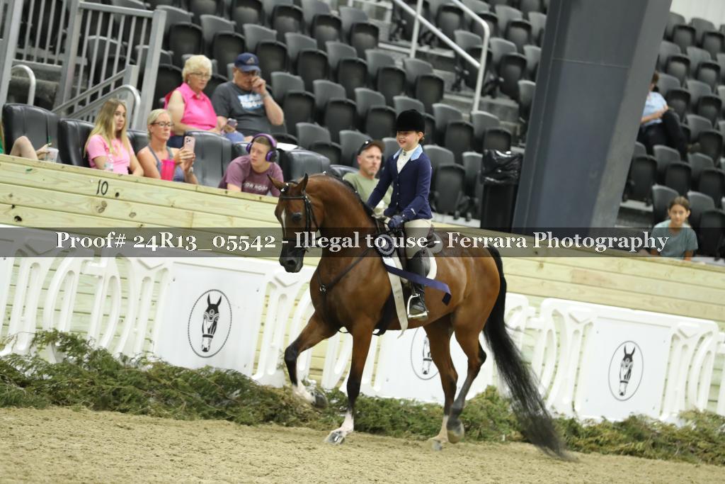 Proof 24R13_05542