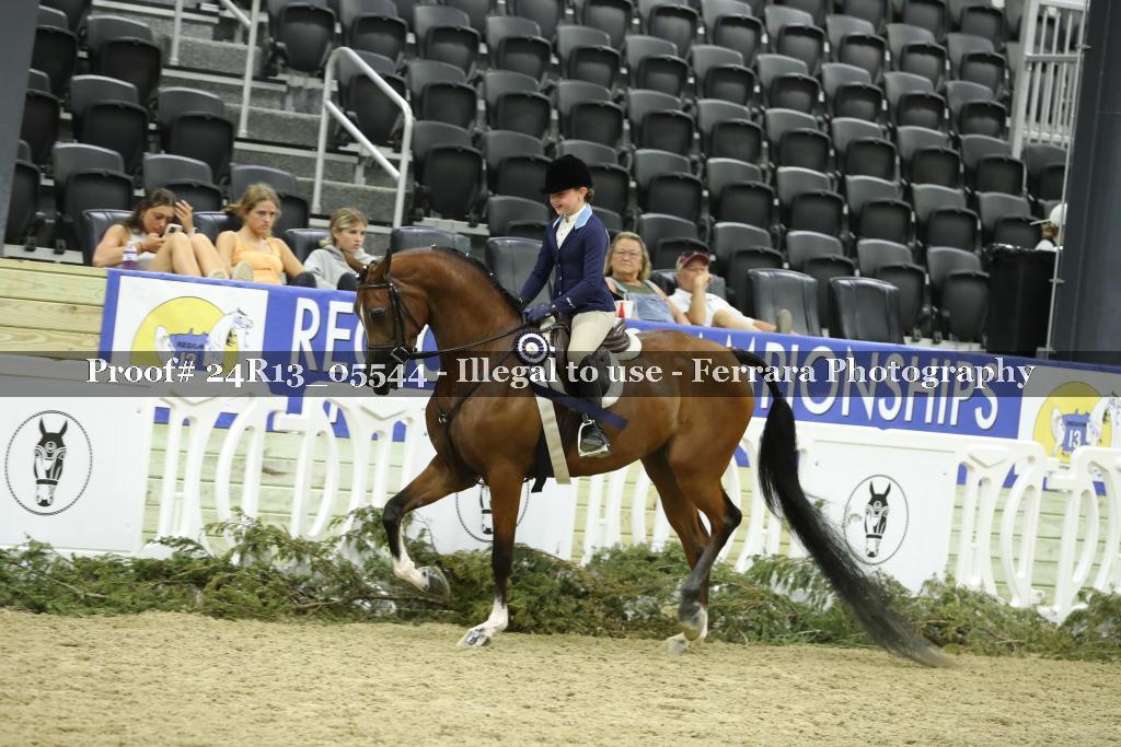 Proof 24R13_05544