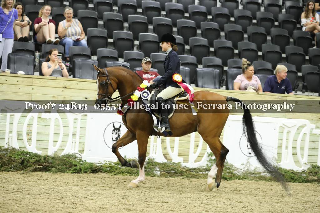 Proof 24R13_05553